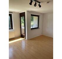 1,5 Zimmer Wohnung - 310,00 EUR Kaltmiete, ca.  52,19 m² in Seesen (PLZ: 38723)