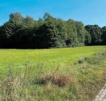 Grünfläche in 29351 Wohlenrode, Wohlenroder Straße - Eldingen