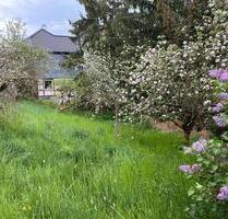 Ein grünes Baugrundstück in Catterfeld - Georgenthal