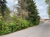 Foto - Grundst&uuml;ck in Georgenthal zum Kaufen