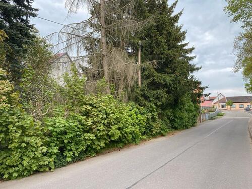 Foto - Grundst&uuml;ck in Georgenthal zum Kaufen