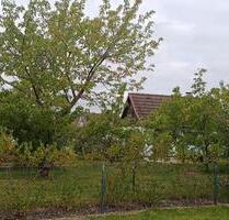 Kleingarten ab 01.12.25 Frei - 3.000,00 EUR Kaltmiete, ca.  0,00 m² in Hannover (PLZ: 30419) Herrenhausen-Stöcken