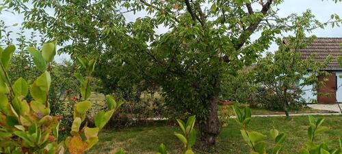 Foto - Grundstück in Hannover zur Miete