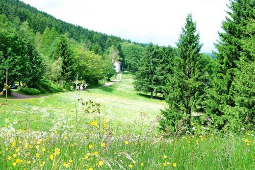 Foto - 5 Zimmer Einfamilienhaus in Suhl