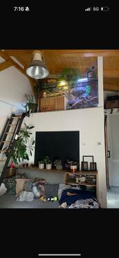 Foto - Einfamilienhaus in Berlin