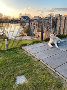 Foto - Ferienhaus am See, Hund,Sauna 30.05-06.06.26 in Barsel