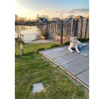 Ferienhaus am See, Hund,Sauna 30.05-06.06.26 in Barsel - Oldenburg Ziegelhof