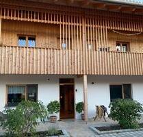 EG Wohnung mit Garten im Holzhaus - Egling