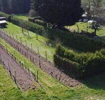 FreizeitgrundstückGarten in Windesheim (Gartenhaus & Grillplatz) - Guldental