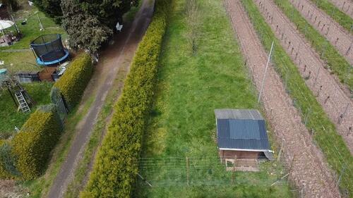 Foto - Grundst&uuml;ck zur Miete in Guldental