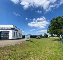 Attraktive Grünfläche neben einem Autohaus in Dessau - Straßenblick - Dessau-Roßlau Rodleben