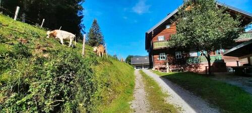 Foto - Hüttenzimmer zur Dauermiete im Salzburger Land