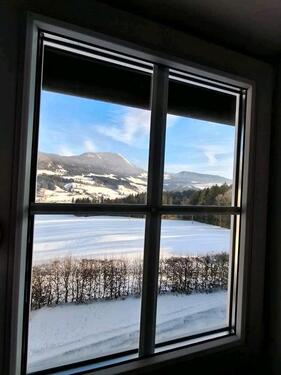 Foto - andere in Adelshofen
