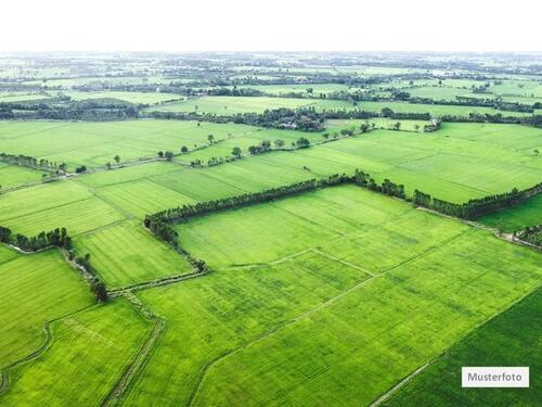 Foto - Land- Forstwirtschaft in 35315 Homberg Provisionsfrei - schnell sein!