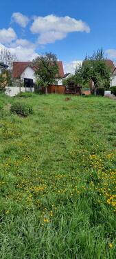 Foto - Gartengrundstück in Schöffengrund-Schwalbach zu verpachten