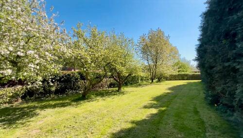 Foto - 5 Zimmer Einfamilienhaus zum Kaufen in Tespe