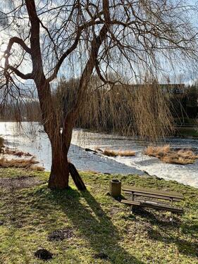 Foto - andere in Ziegenrück zur Miete