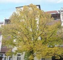 schöne 3 Raum Wohnung - 663,00&nbsp;EUR Kaltmiete, ca.&nbsp; 78,07&nbsp;m&sup2; in Leipzig (PLZ: 04157) Nord