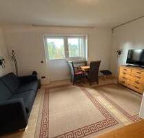 1 Zimmer Appartement, voll möbliert in Weiden i. d. Oberpfalz - Weiden in der Oberpfalz