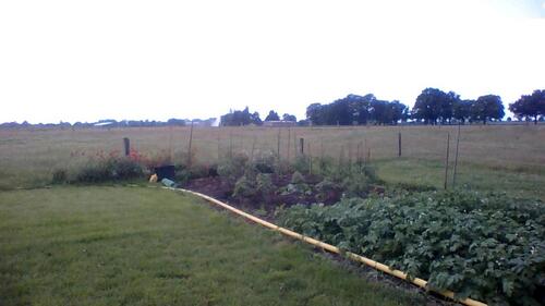 Foto - 3 Zimmer Einfamilienhaus in Kempen