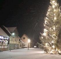 Ferienwohnung Max Schmeling Benneckenstein - Oberharz am Brocken
