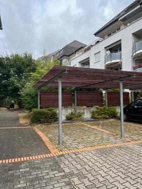 Foto - andere in Dresden