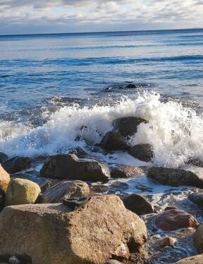 Foto - andere zur Miete in Grömitz