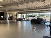 Foto - andere in Dessau-Roßlau
