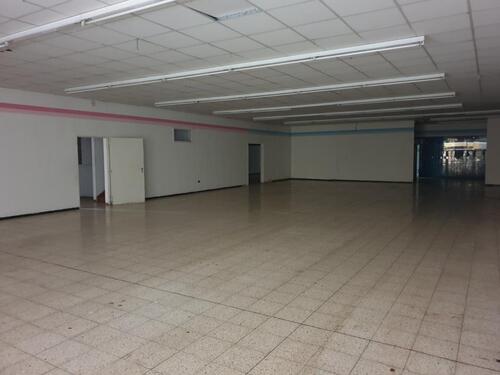 Foto - andere in Freiburg im Breisgau