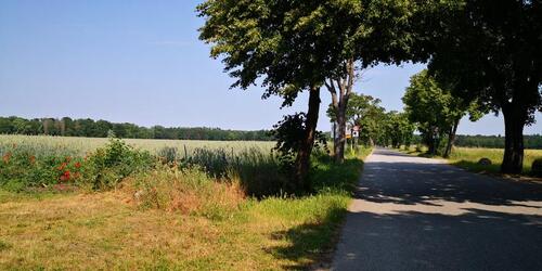 Foto - 3Raumwohnung nahe Pritzwalk - 330,00 EUR Kaltmiete, ca.  65,00 m²