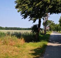 3Raumwohnung nahe Pritzwalk - 330,00 EUR Kaltmiete, ca.  65,00 m² in Pritzwalk (PLZ: 16928)