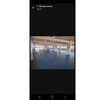 Heller Showroom, Lager oder Büro – 520 m² – rundum Fensterfront - Nehren