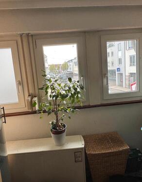 Foto - WG Zimmer Männer - 550,00&nbsp;EUR Kaltmiete, ca.&nbsp; 17,00&nbsp;m&sup2;