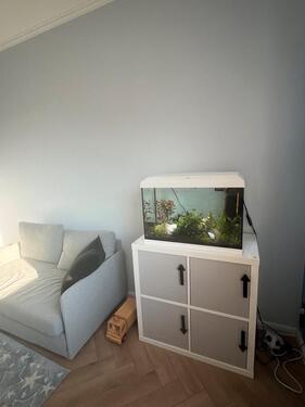 Foto - 