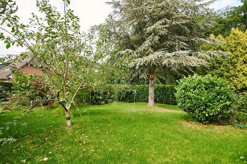 Foto - 4 Zimmer Einfamilienhaus in Steimbke