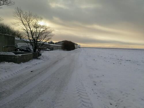 Foto - andere zur Miete in Niebüll