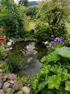 Foto - andere in Lalling zur Miete