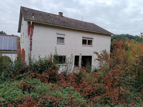 Foto - Baugrundstück m. Altbest., DingolfingWaldesruh, 850qm, v. PRIVAT