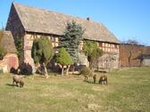Foto - Bauernhof Resthof mit landw. Flächen MFH mit großem Grundstück