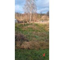 Kleingarten - 10,00&nbsp;EUR Kaltmiete, ca.&nbsp; 0,00&nbsp;m&sup2; in Kiel (PLZ: 24145) Meimersdorf