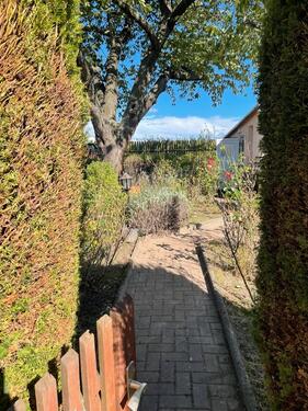 Foto - Grundstück zur Miete in Braunsbedra