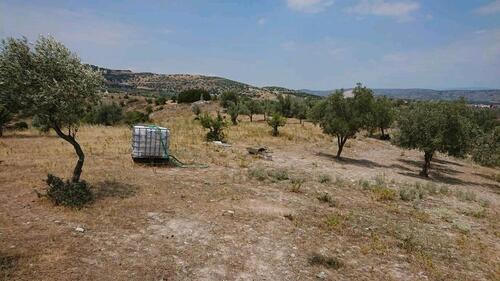 Foto - Bauland in Sesklo (GR) - 90.000,00 EUR Kaufpreis,
