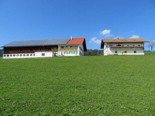 Foto - Ferienwohnung in Weitnau Allgäu zu vermieten