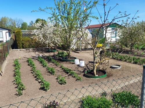 Foto - Kleingarten, 400m², isolierte Laube, 2 Gewächshäuser, Wasser frei