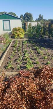 Foto - Grundstück zur Miete in Stralsund