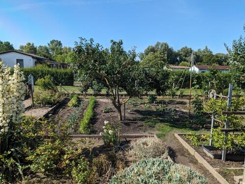 Foto - Grundstück in Stralsund