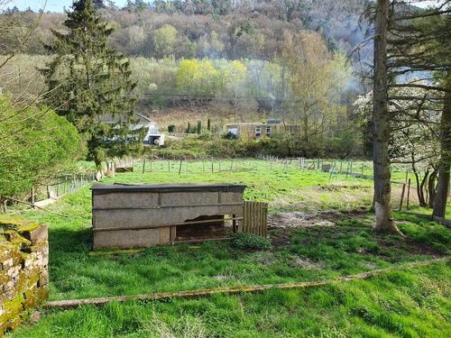 Foto - Einfamilienhaus in Wilgartswiesen zum Kaufen