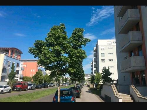 Foto - 3 Zimmer-Wohnung - 1.620,00 EUR Kaltmiete,
