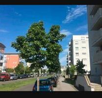 3 Zimmer-Wohnung - 1.620,00 EUR Kaltmiete, in Mainz (PLZ: 55124) Gonsenheim