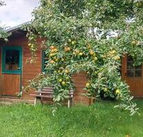Kleingarten in lambrechtshagen KGA Sonnenschein